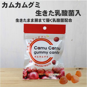 カムカムグミ 乳酸菌入り 14粒(42g)×10個 1袋に3億個の乳酸菌、天然ビタミンC 80mg、上質のマリンコラーゲン 400mgを配合 賞味期限:2026.11.19