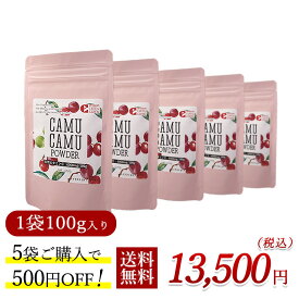 無農薬 カムカムエキスパウダー 100g×5個 500円お得　化学合成ビタミンCや酸化防止剤は不添加 ビタミンC 粉末 アセロラの2倍 ビタミンc フラボノイド 天然ビタミンc 健康ドリンク 美容ドリンク カムカム パウダー カムカムドリンク ポリフェノール サプリ 送料無料