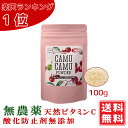 無農薬 カムカムエキスパウダー 100g ポリフェノール サプリビタミンC 100g中6500mg 粉末 アセロラの2倍 ビタミンc フラボノイド カムカムパウダー 天然ビタミンc カムカムドリンク 化学合成ビタミンCや酸化防止剤は不添加 賞味期限：2027.01.16 送料無料