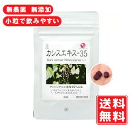 【目のサプリ】カシスエキス-35 100mg×60粒 1日3粒でアントシアニン105mg配合 保存料無添加 無着色料無…