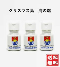 クリスマス島 海の塩 卓上用 30g×3個　微粉タイプ サンゴカルシウム入り 北極・南極のエネルギー 天日干し 良質のナトリウム 世界一きれいな海の塩 加工なし 80種以上のミネラル 究極の天日塩 ミネラルバランス 手作り熱中予防 夏バテ 携帯 送料無料 定形外発送