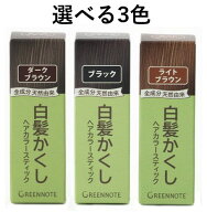 グリーンノート 白髪かくし ヘアカラースティック 3色 ライトブラウン/ダークブラウン/ブラック 4g　生え…