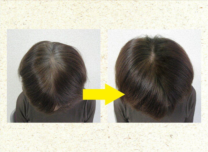 楽天市場 グリーンノート ヘアカラーファンデーション 3色 ライトブラウン ダークブラウン ブラック 12g 広範囲の白髪 地肌用 生え際や根元の白髪を隠す リタッチ ノンシリコン 石油系成分不使用 送料無料 定形外発送 健康生活をサポートするケントク 楽天市場 グリーンノート ヘアカラーファンデーション 3色 ライトブラウン ダークブラウン ブラック 12g 広範囲の白髪 地肌用 生え際や根元の白髪を隠す リタッチ ノンシリコン 石油系成分不使用 送料無料 定形外発送 健康生活をサポートするケントク