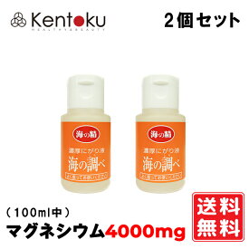 海の精 濃厚にがり液 海の調べ 50ml×2個　国産 にがり液 にがり 苦汁 海 マグネシウム ミネラル 伊豆大島 海水 即納 ニガリ 苦汁　天然にがり ミネラル ミネラルバランス 脂質 糖質 便秘 美肌 保湿 美髪 経皮吸収 かゆみ対策 送料無料　賞味期限：2029.02.14