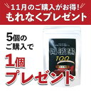 黒大豆珈琲ブラックソイビーン 120g《11月限定、5個ご注文で1個プレゼント》鉄分 黒豆 丹波 黒豆茶 ノンカフェイン 国…