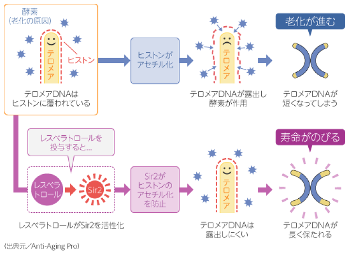 レスベラトロール2個セット　目　抗酸化作用　目がクリアに 楽天市場】レスベラトロール ケアジェル 【わかさ生活 公式