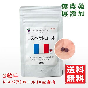 _ Y Xxg[ 100mg×60 2 Xxg[10mgܗL ̖ eƌC N⏕Hi  R_ eADNA w엿 `qT[`C |tF