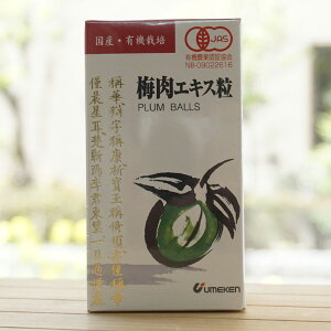 YEL@͔| ~GLX()/90g(600)yEPz