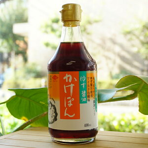 䂸ݖ ۂ/400mly`[R[z@Ep傤