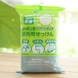 䏊p(Ō`^Cv)/110gyV{ʐ΂z@100VRR@X|W