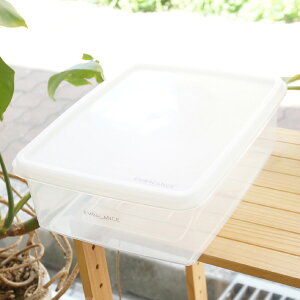 N^ORei/5.7LyGoXz EMBALANCE RECTANGLE CONTAINER