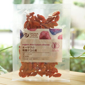 I[T̗L@NR̎/40g@mIC@Y