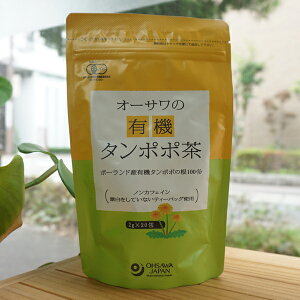 I[T̗L@^||(|[hY)/40g(2g×20)