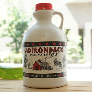 ADIRONDACK �L�@���[�v���V���b�v�N�H�[�g/946ml�y�A���T���z