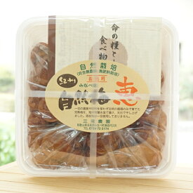 自然栽培 紀州 自然梅 恵 お徳用/1kg【三尾農園】