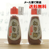 【2本セット】無農薬ねり梅(三年梅)/120g×2本【中本梅農園】【メール便の場合、送料無料】　梅醤番茶に…