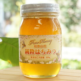 日本ミツバチだけの純粋ハチミツ/600g【和歌山県すさみ町】【非加熱】　二ホンミツバチ 国産 蜂蜜　日本蜜蜂