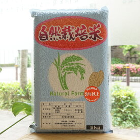 自然栽培米(ササニシキ)/5kg玄米【石山農産】【精米可能】　令和5年度産
