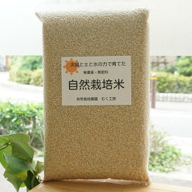土と水と太陽の力で育てた 自然栽培米(ヒノヒカリ)玄米/5kg【むく工房】　令和5年度産