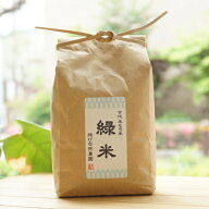 無肥料自然栽培 古代米もち米 緑米/450g【結び自然農園】