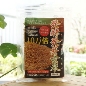 発酵発芽玄米/300g【ディエイアイ】【メール便の場合、送料無料】 植物性乳酸菌が玄米の約10万倍　炊く直前の米にひとさじ混ぜるだけ