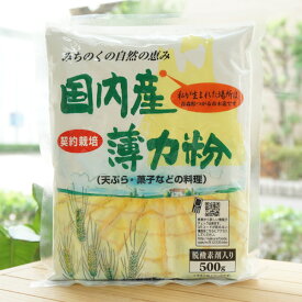 みちのくの自然の恵み 国内産薄力粉/500g【桜井食品】