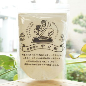 太陽と水と土の力だけで育てました 中力粉/400g【原農場】 無農薬・化学肥料不使用 熊本県産 国産 小麦粉 熊本県産小麦 品種はチクゴイズミ 手打ちうどん、お好み焼き、 ケーキ、クッキー、 天ぷらなどに