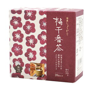 YI ~Ԓ(XeBbN)/20܁yo{܁z