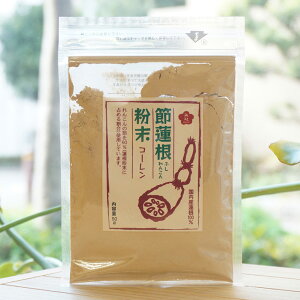 ߘ@ӂ񂱂񕲖R[/50gyo{܁z@Y@100