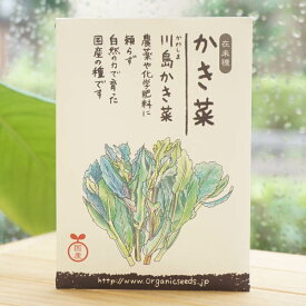 在来種 かき菜(川島かき菜)/約500粒【ナチュラルライフステーション】　国産