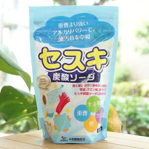 ZXLY_\[_/300gyؑ]HYz