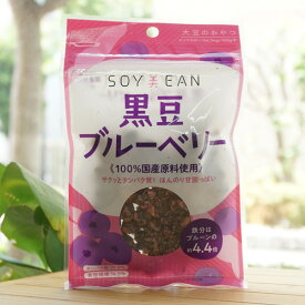 SOY美EAN 黒豆ブルーベリー/40g【宮本邦製菓】
