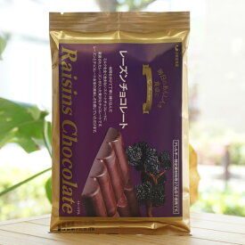 毎日のあんしんを食卓に レーズンチョコレート/80g【辻安全食品】