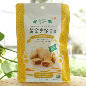 LbƌăTNbƂ Ȃ/80gy}V}z