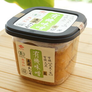 L@X() Ă킹/500gy`[R[z