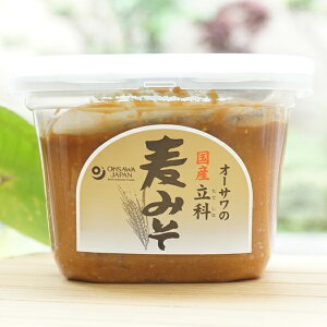 I[T̍Y  ݂/650g@MBȁ@Nȏ㒷n@X@Ygp