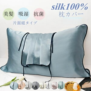VNJo[ Ж 100VN R^Cv 19 6A f s[Jo[ X[v  Q  wAPA ێ R q AM[΍ e ₩ G肢 _炩 54×76cm 