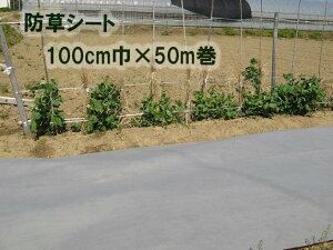 hV[gE110G@O[|GXesDz100cm×50M