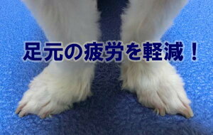 ybgp}bg@Jy}bgN`偄16mm×650mm×1050mm1