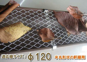 yz͗tt S~h~(lbg)120Ea120mmpy1M×20z