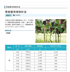 ʎpj@L2.6~@50kg12@50kg /TNebN