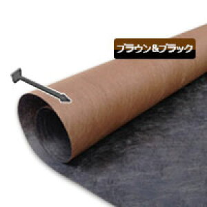 O[rX^vV[gi1m×50mj125ubNuEƃvse50Zbg