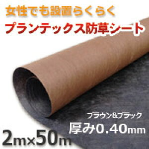 hV[g vebNXĩUo[jhV[gi2m×50mj125ubNuE V[g{