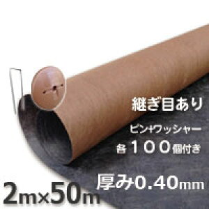 󂠂 ʌ vebNX125ĩUo[jhV[gi2m×50mjubNuEƃR^s{bV[e100Zbg