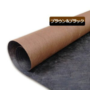 O[rX^vV[g240ubNuEi1m×5mjƃvs10Zbg