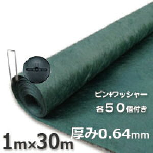 Uo[ hV[g240GO[i1m×30mjƃR^s{WDbV[e50Zbg