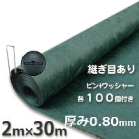 訳あり 数量限定 ザバーン350 防草シート350グリーン（2m×30m）とコ型ピン＋WDワッシャーが各100個ついたお買い得セット