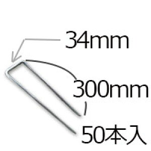  hV[gp R^s R^~߃s4pC×300mm/50 80pCh[^WDbV[50ZbgPVėpi