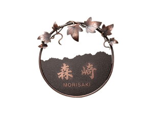 \D IR-37 200W×200H(mm)  