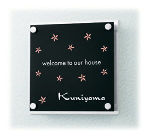 �\�D �ˌ� �X�e�����X/�A�N�����E�A�N�����K���X�\�D �l�[���v���[�g ADVANCE�i�A���@���X�j�E�y�C���g�R�[�g�^�C�v�@MSAVS-BS-7�i2�F�j �ێO�^�J�M